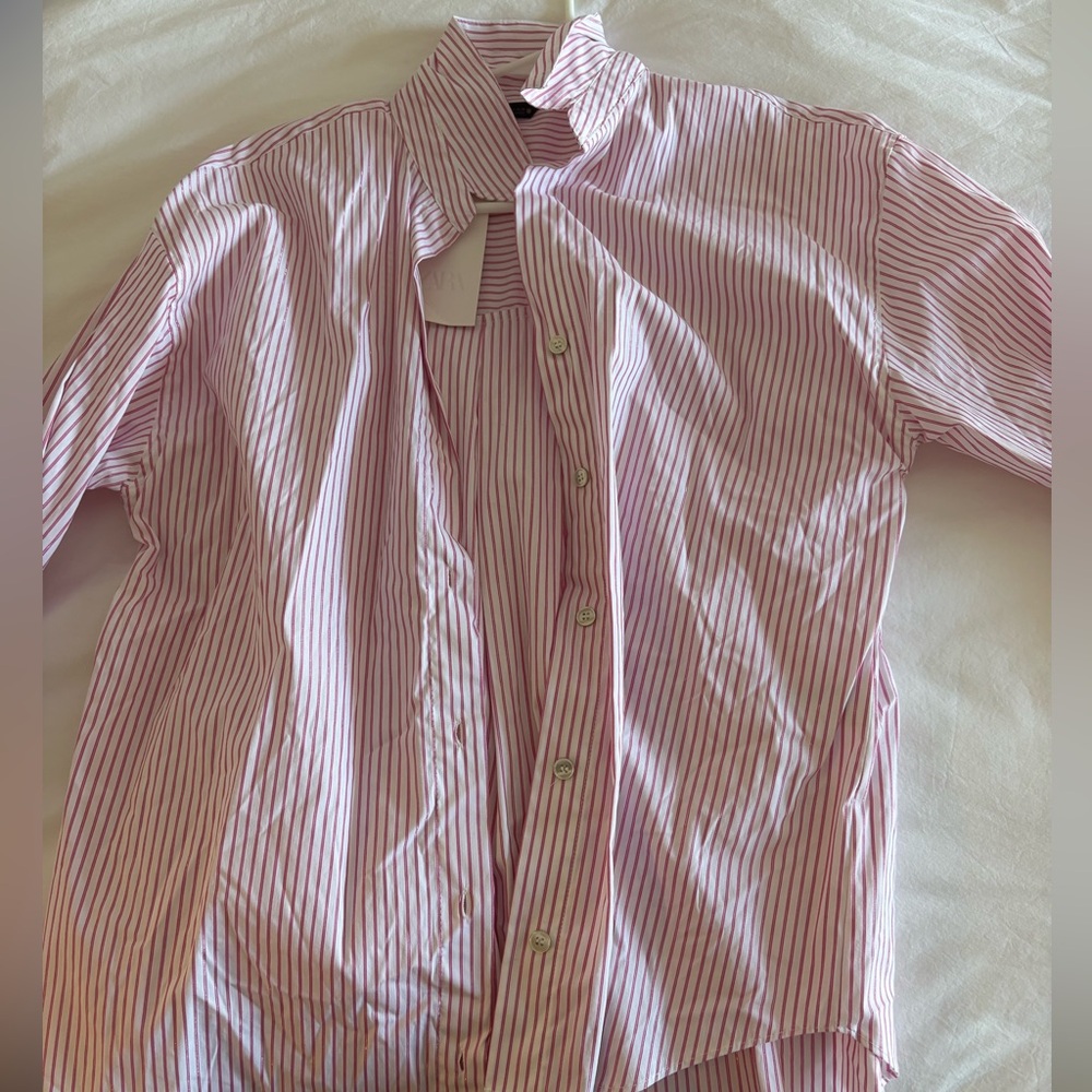 NWT Zara pink button down